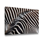 Gallery-wrapped zebra stripes canvas wall art displayed at angle showing thick wooden frame and vivid high-contrast print