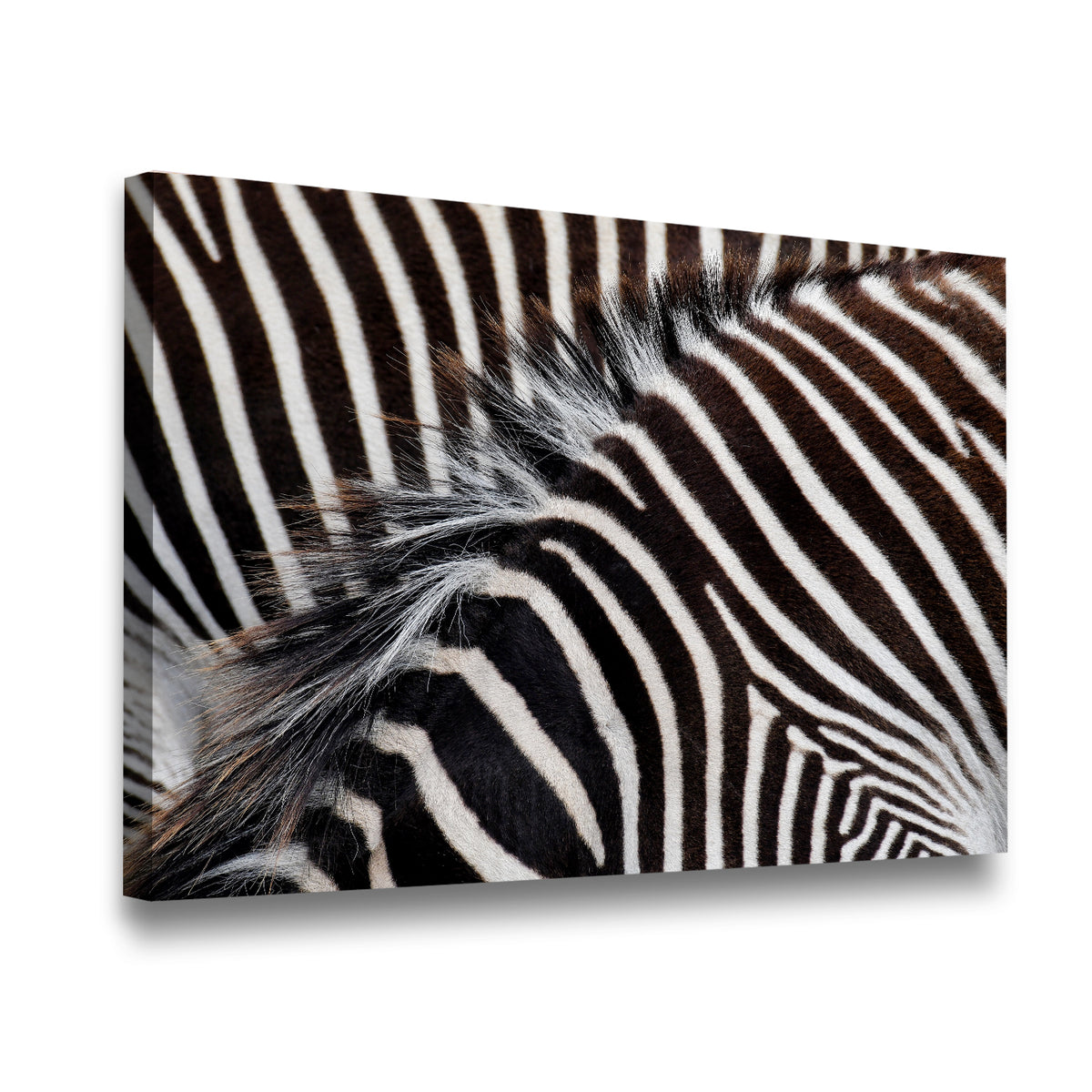 Gallery-wrapped zebra stripes canvas wall art displayed at angle showing thick wooden frame and vivid high-contrast print
