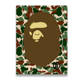 Bathing Ape Camo Canvas Wall Art front view on premium gallery-wrapped canvas