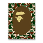 Bathing Ape Camo Canvas Wall Art front view on premium gallery-wrapped canvas