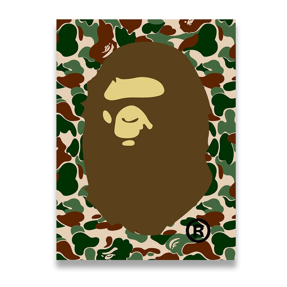 Bathing Ape Camo Canvas District