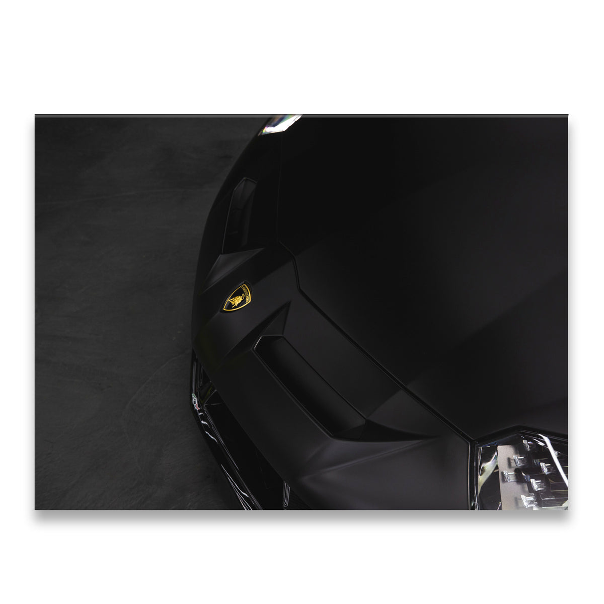 Close-up of a black Lamborghini hood with gold raging bull badge — dramatic overhead shot on dark canvas wall art