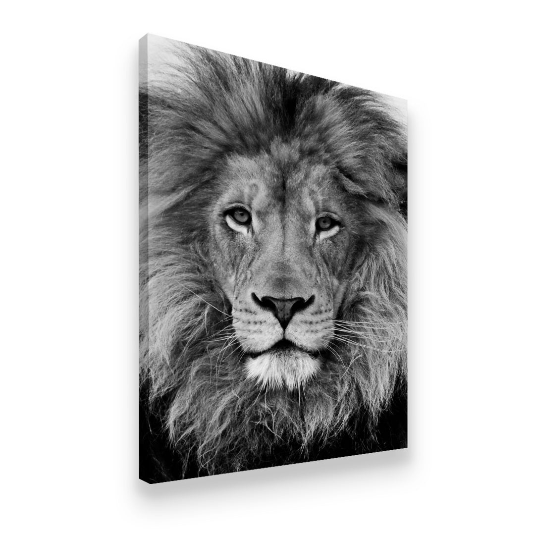 The King Lion Canvas Wall Art side angle showing wrapped canvas depth and print detail